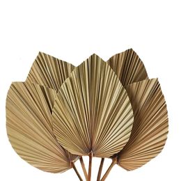 Christmas Decorations Dried Palm Leaves Room Decor 5 Pieces 18Inch H X 10Inch W Large Natural Leaf For A Beautiful Boho Look 231019