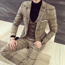 Men's Suits (Jackets Vest Pants) 2023 Men Plaid Business Blazers/Male Slim Fit Pure Cotton Thr-piece Suit/Man Groom Dress M-5XL