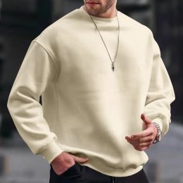 Men's Basic Crew Neck Sweatshirt Pullover For Men Solid Colour Sweatshirts For Spring Fall Long Sleeve