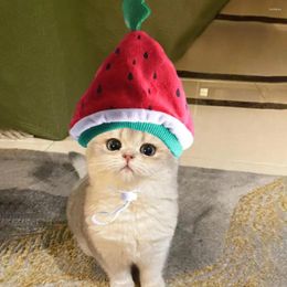 Dog Apparel Pet Hat Cute Fun Watermelon Shaped Cat Stylish Comfortable Headgear Party Pos Accessory Ins Style Po Props