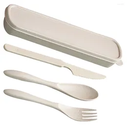 Dinnerware Sets Reusable Fork Spoon Cutlery Tableware Travel With Case Polypropylene (pp) Portable Utensils Lunch