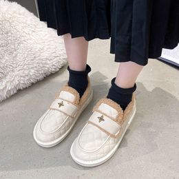 Plush Shoes, Snow Warm Cotton Women's New Thickened And Shoes, Boots, Casual Maternity Shoes sku china factory