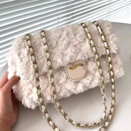 Luxury crossbody bag lamb wool designer handbag leather chain wearing shoulder bag autumn and winter versatile small bag 25cm G2310212PE-6