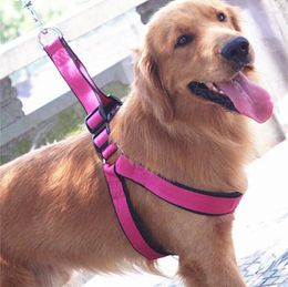 Collari per cani Guinzaglio da corsa in nylon da allenamento Walk Easy Harness Set di guinzagli da passeggio