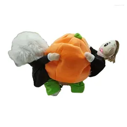 Cat Costumes Pet Costume Funny Holding Pumpkin Party Cosplay Dress Accessories Dropship