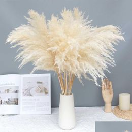 Dried Flowers 10/20 Pcs Cream Grass Fluffy Pampas Ation Natural Bouquet Boho Decor Valentines Day Gif 1208 Drop Delivery Home Garden Dh19C
