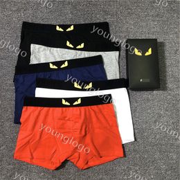 Mens Designers Boxers Brands Underwear Sexy Classic Man Briefs Cotton Breathable Underpants 5pcs/Lot