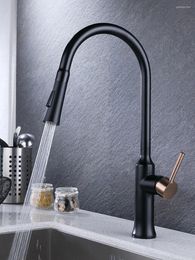 Kitchen Faucets Faucet Black Pull-out 304 Stainless Steel And Cold Water Lead-free Single Hole