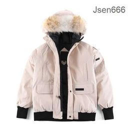 Canda Goose Men Women Designer Down Jacket Winter Warm Coats Casual Letter Goose Jacket Embroidery Outdoor Winter Fashion for Male Couples Canda Goose Jacket N32F