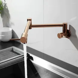 Kitchen Faucets Folding Copper Faucet Double Switch Rotating Vegetable Basin Fashion Black Sink