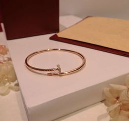 21 Bangle Designers luxurys bracelet solid Colour Diamonds couple models bracelets Valentine's Day versatile gift metal sense the same material Jewellery