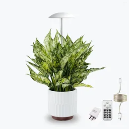 Grow Lights USB LED For Indoor Plants Remote Control Smart Sun Mode Auto On/Off Timer Full Spectrum Height Adjustable