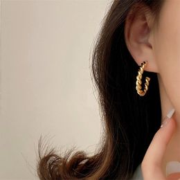 Vintage Spiral Twist Hoop Earrings For Women Punk Stainless Steel Party Earrings Trendy Gold Silver Colour Earrings Jewellery Pendientes Wholesale YME134