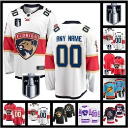 CUSTOM Carolina''Panthers''2023 Stanley Cup Final Aleksander Barkov Hockey Jerseys Aaron Ekblad Matthew Sergei Bobrovsky Jaromir Jagr Home S