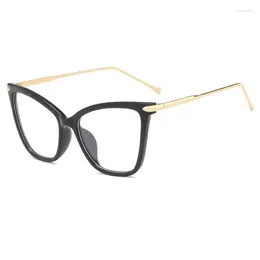 Sunglasses Frames 58mm 2023 Anti Blue Light Computer Glasses TR Women Big Frame Cat Eye Eyeglasses Pc Girls F8011