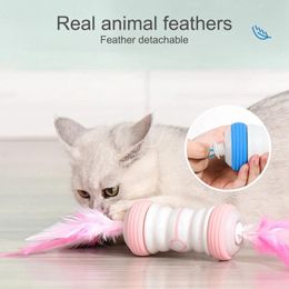 Cat Toys 4 Colours LED Colourful USB Electric Funny Feather Toy Automatic Rotation Artefact ABS And Food-grade Silicone Wheel