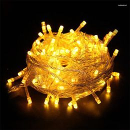 Strings 10M 100LEDs LED String Lamp 9 Colors Festoon Lamps Waterproof Outdoor Garland Party Holiday Christmas Decoration Light