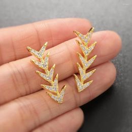 Stud Earrings Iced Out Crystal For Women Fish BoneZircon Rock Earring Luxury Fashion Hip Hop Jewelry Punk Accessories OHE107