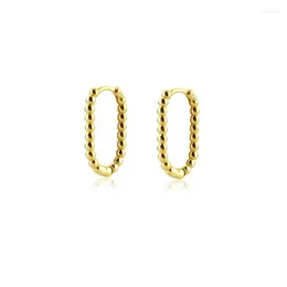 Hoop Earrings Minimalist Gold Color Chain Shaped Oval For Women Men Simple Geometric French Wholesale