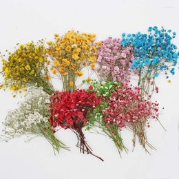 Decorative Flowers 5-8CM/24PCS Real Natural Small Gypsophila Pressed Baby Breath Flower Branches For Nails DIY Resin Jewellery Phone Case