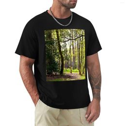 Men's Polos Forest Dawn T-Shirt Cute Clothes Sweat Shirts Long Sleeve T