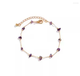 Anklets Anklet Bracelet Stainless Steel For Girls Designer Sandals Women Leg Chain Purple Crystal