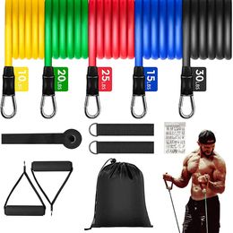 Resistance Bands Set Bodybuilding Home Gym Equipment Professional Weight Training Fitness Elastic Rubber Workout Expander 231023