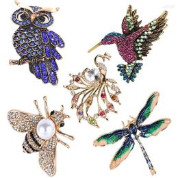 Brooches 5 Pieces Women Dress Decorations Beautiful Animal Brooch