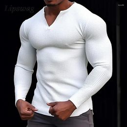 Men's T Shirts Elastic Slim V Neck For Men Fall Long Sleeve Waffle Tops Fashion Solid Color Sport Fitness T-shirts Mens Bottoming Tee