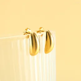 Hoop Earrings Gold Color Silver Crescent Moon Plantain Fashion Stainless Steel For Women Paired Party Free Shopping