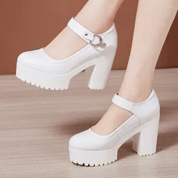 Dress Shoes Women Genuine Leather Pumps High Heel Plus Size Work Women's White Chunky Heels Platform Cheongsam Model Show