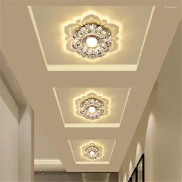 Ceiling Lights Modern LED Fixtures For Hallway Living Room Bedroom Kitchen White/Warm White/Colorful 9W Lamp