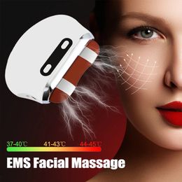 Face Care Devices EMS Face Lifting Guasha Massager Bianstone Gua Sha Scraping Board Microcurrent Heating Vibration Massage V Face Slimming 231021