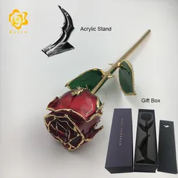 Decorative Flowers G029-1 11 Inches Dry Rose Made 24K Gold Plated Pearl Red Coloured With Nice Gift Box For Valentines Day Gifts