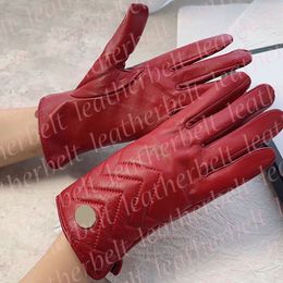 Autumn Winter Plush Gloves Metal Letter Sheepskin Mittens Luxury Touch Screen Leather Gloves for Womens