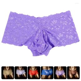 Underpants Low Waist Panties Boxer Plus Size M -3XL2023 Gay Men Sexy Erotic Underwear Lace Mens Penis Pouch Transparent