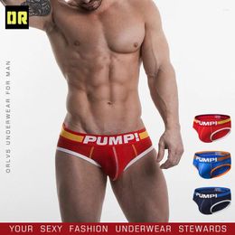 Underpants Solid Color Fashion Brand Men's Underwear European And American Style Sexual Feeling Low Waist Mesh Breathable Briefs