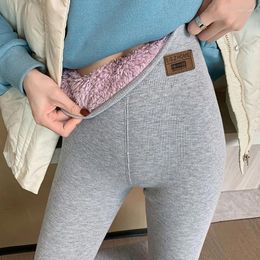Women's Leggings Xpqbb Winter Lambswool Warm Pants Women High Wiast Slimming Knitting Fleece Female Casual Thickened Thermal