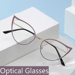 Sunglasses Transparent Frame Computer Glasses Oversized Metal Cat Eye Optical Spectacle Eyeglasses For Ladies Women's Large Plain