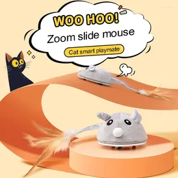 Cat Toys Accessories Pets Crawl Little Mouse USB Charging Feather Flocking Rat Plush Automatic Electronic Products