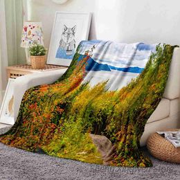 Blankets Natural Sunset Forest Fog Landscape Flannel Cosy Warm Blanket Fluffy Soft Sheet for Bed Sofa Nap Camping Travel Blankets