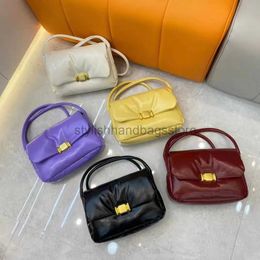 Shoulder Bags Bags Fashion Luxury Brand Designer Style Soft Women's Crossover Winter and Bagstylishhandbagsstore