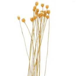 Decorative Flowers 20pcs Reed Diffuser Stick Aroma Sticks Flower Fragrance