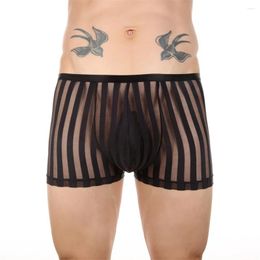 Underpants Man Elatic Underwear See Through Boxer Brief Striped Tranpsarent Mesh Panties Comfortable U Convex Pouch Shorts Nylon