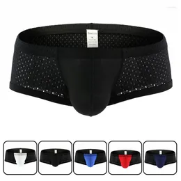 Underpants 2023 Breathable Mesh Men Boxers Four Corner Underwear Cotton Mens