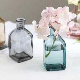 Vases For Ornaments Transparent Flower Table Glass Homes Bottle Crafts Colourful Vase Accessories Simple Home Decoration