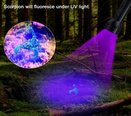 Detector 51Led Light 51 Lamp Dog Ultra Violet Pet Flashlight Leds Blacklight Urine For Stains Uv Torch Bed And 395nm Bug Jmbkc3356906