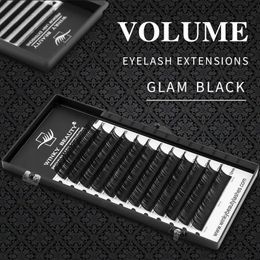 False Eyelashes Winky Beauty Individual Eyelash Extension B C CC D Faux Mink Cilias Soft Eye Lash 3D Russian Volume Lashes Makeup 231024