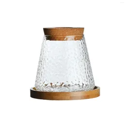 Vases Hydroponic Plants Flower Pot Retro Transparent Table Glass Vase For Living Room Desktop Decor