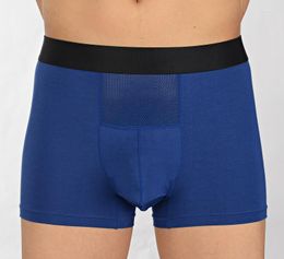 Underpants In Summer The Modal Loose Underwear Scrotum Support Vein Pants Boyshort Head